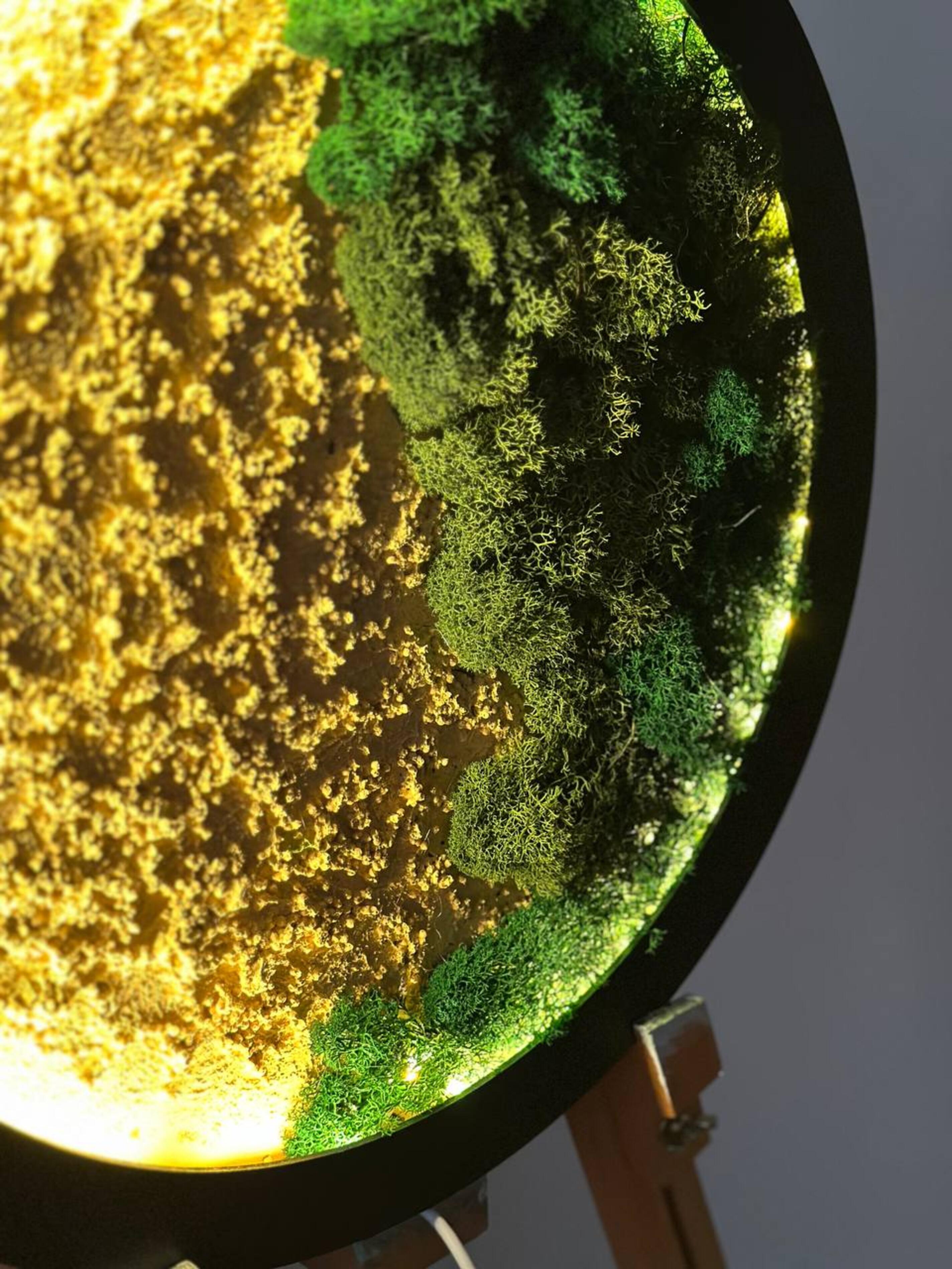 Отель «Империал Hotel & SPA»: Сувениры Отель «Империал Hotel & SPA»: Сувениры