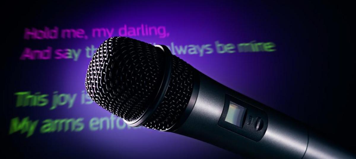 Бизнес-отель "Империал": Karaoke